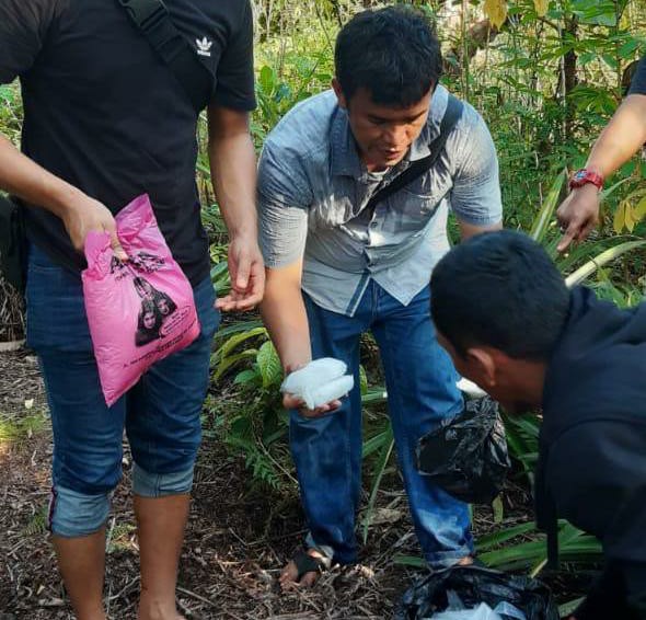 Sindikat Narkoba Kepri dan Riau Tanam Sabu Lebih 7 Kilogram
