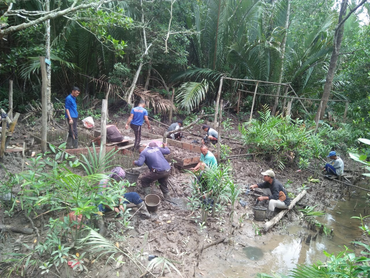 Program Padat Karya Mangrove KLHK di Riau Serap 1.552 Orang Tenaga Kerja