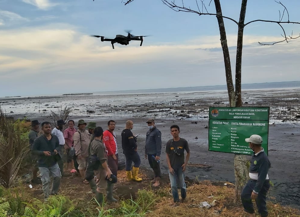 Keren! Masyarakat Gunakan CCTV dan Drone Pantau Program Mangrove