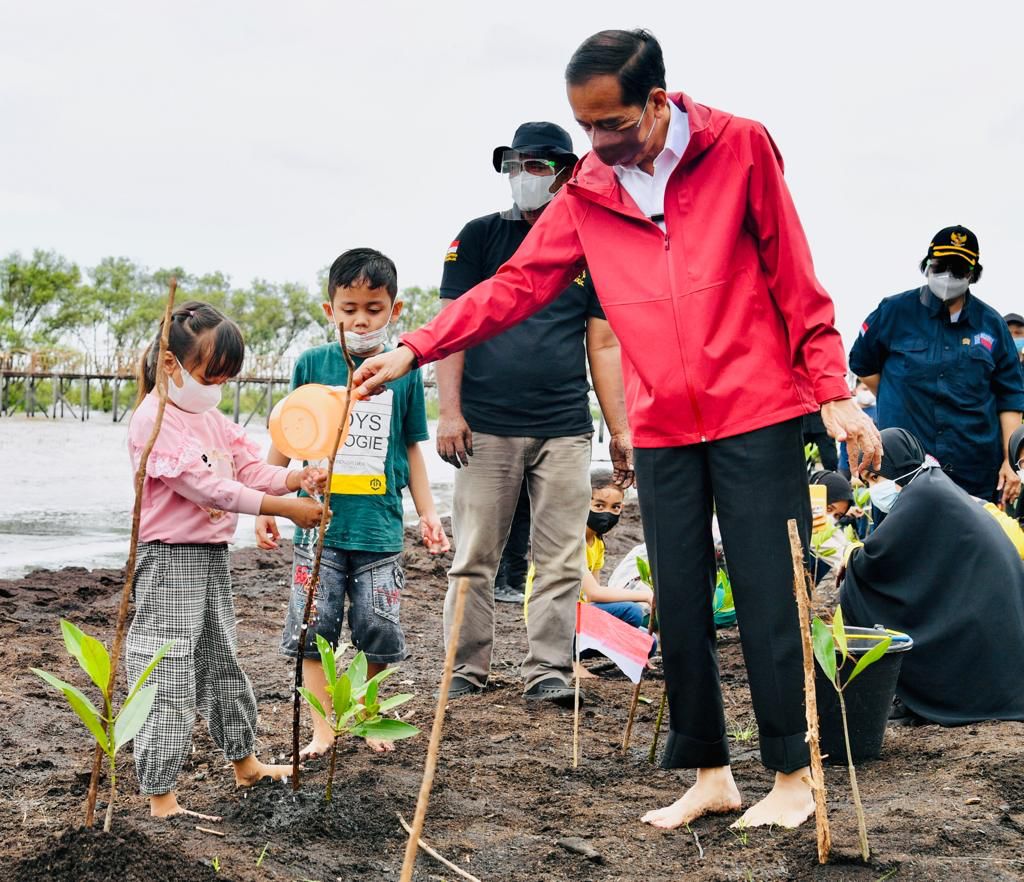 Semangat Menanam Mangrove Hingga Didatangi Presiden Jokowi
